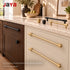 JAYA Modern Luxury Golden Brass Furniture Drawer Cupboard Pull Knobs Kitchen Cabinet Handles for Bedroom Villa & Outdoor Use