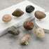 JAYA Natural Pebble Stone Cabinet Knobs with Brass Base Mini Drawer Pulls for Kitchen Wardrobe and Furniture Doors