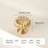 JAYA Solid Brass Cabinet Hardware Brushed Gold Bar Pull Handles T Knobs Round Knobs for Kitchen Wardrobe Dresser Furniture