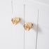 JAYA Solid Brass Round Button Design Cabinet Knobs for Kitchen Drawer Wardrobe Door Dresser Furniture Hardware
