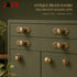 JAYA Antique Brass Finish Cabinet Knobs with Backplates Vintage Single Hole Drawer Pulls for Kitchen Wardrobe Dresser Furniture