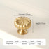 JAYA Solid Brass Cabinet Hardware Brushed Gold Bar Pull Handles T Knobs Round Knobs for Kitchen Wardrobe Dresser Furniture