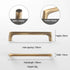 JAYA Antique Brass Finish Cabinet Handles and Knobs Bar Pulls Shell Pull and Ring Pull for Kitchen Wardrobe Drawer Furniture