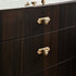JAYA Antique Brass Finish Cabinet Knobs with Backplates Vintage Single Hole Drawer Pulls for Kitchen Wardrobe Dresser Furniture