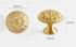 JAYA 2024 High Quality Single Brass Handle Hardware Door Knobs Brass Cabinet Handles