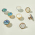 JAYA Colorful Shells Cabinet Knobs Drawer Knobs Brass Handle Knobs for Kitchen Living Room Furniture Door Handle