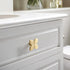 JAYA  Gold Pair Zinc Alloy Handle Nordic Wind Cabinet Door Cabinet Drawer Wine Cabinet Wardrobe Black Door Handle