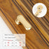 JAYA Zinc Handle Modern Simple Gold Drawer Cabinet Furniture Hardware Single Hole Door Handle
